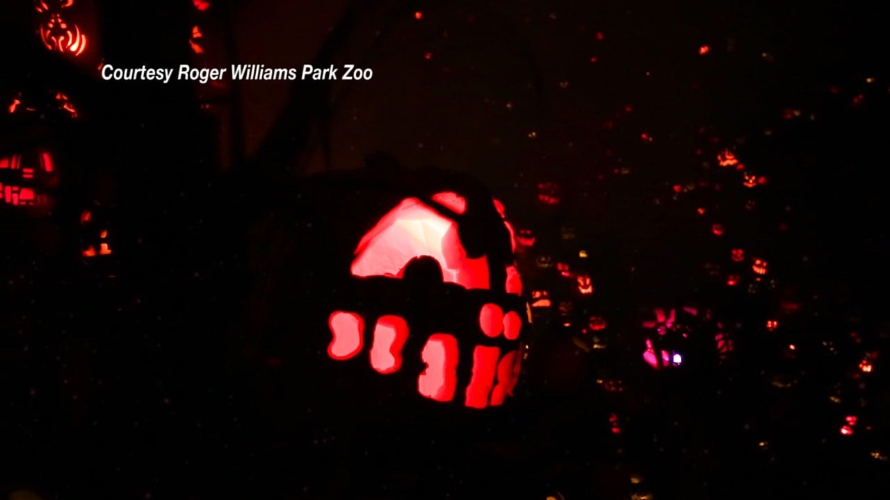 spooky spectacular roger williams zoo