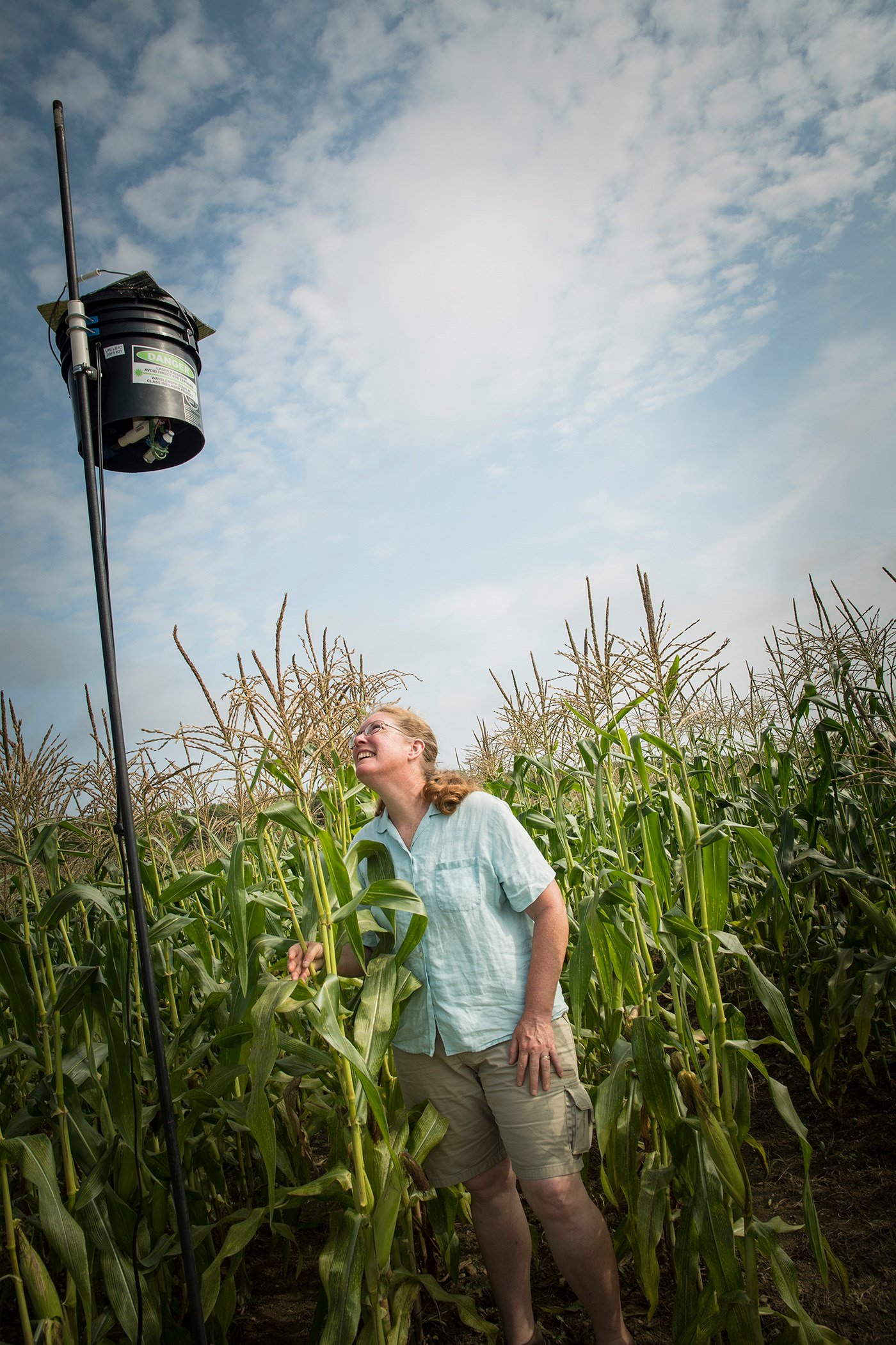 URI researcher develops laser scarecrow to help reduce birds eating farm crop - ABC6 ...